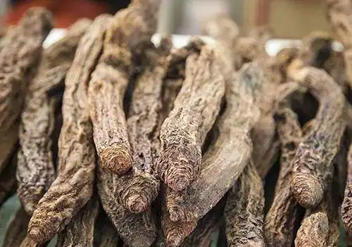 锁阳的功效与作用锁阳泡水喝壮阳吗