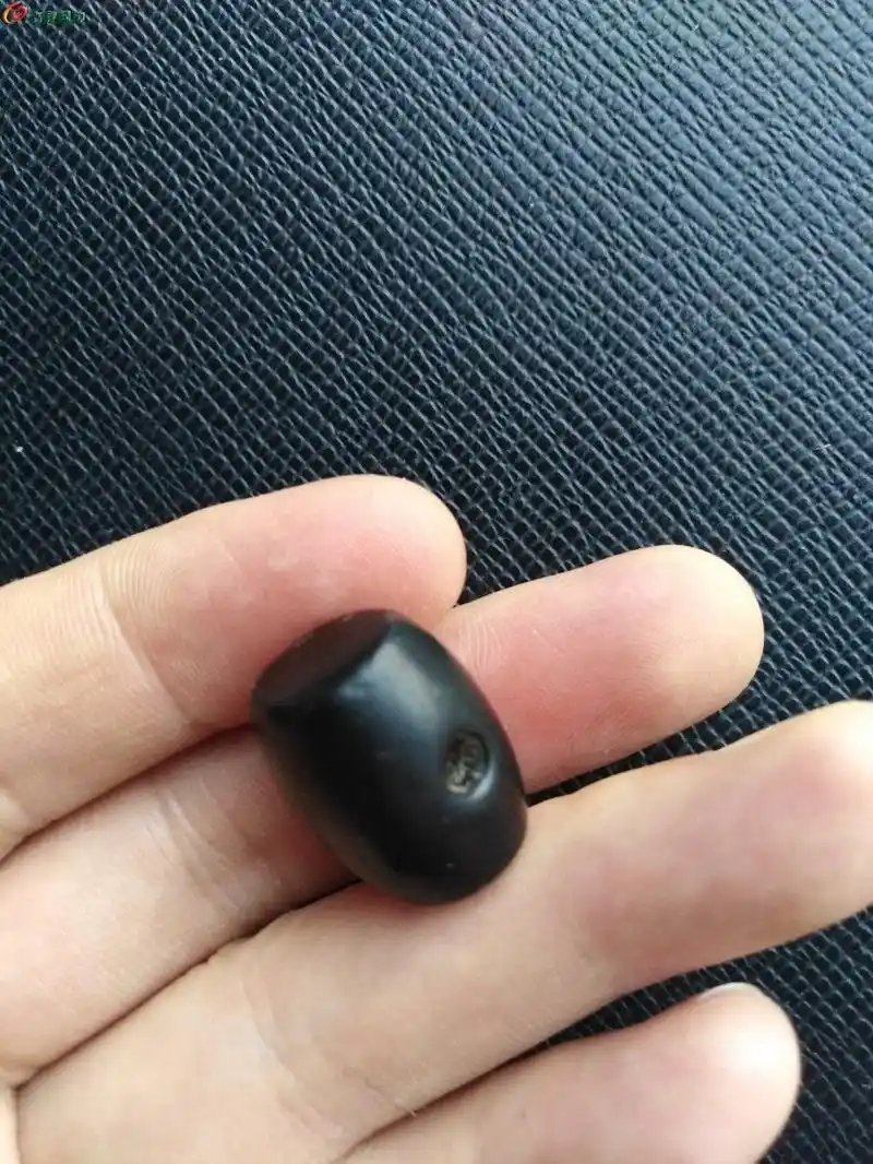 [yq12]老煤精石腰里鼓