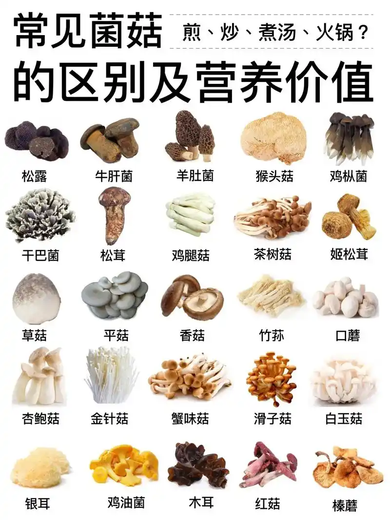 减脂期 经常会吃到菌菇,我给大家总结了菌菇的种类,都学习到 - 抖音
