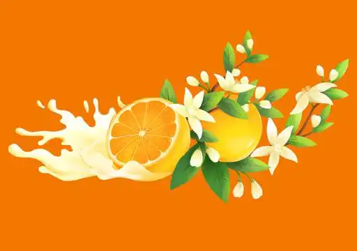 橙子设计图__广告设计_广告设计_设计图库_昵图网nipic.com