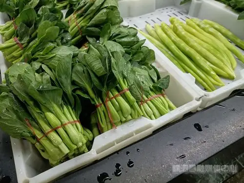 净菜上市从源头减少生活垃圾