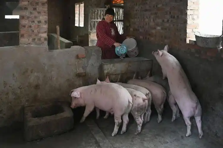 音频【扶贫展播】"邮储银行杯"济源摄影家聚焦脱贫攻