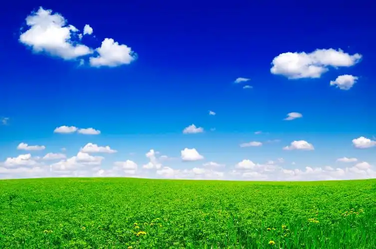 蓝天白云绿草地田野希望的田野