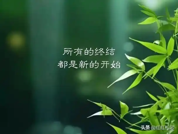 曲终人散终是梦,繁花落尽都成空.