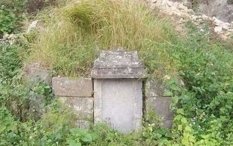 土坟上长草到底要不要拔要怎么清理你知道吗