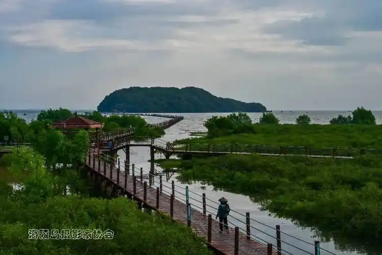 海陵岛国家级红树林湿地公园