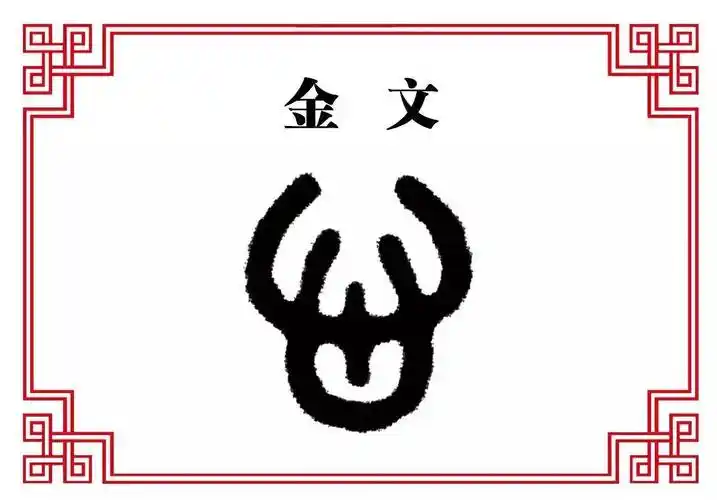 金文甲骨文是一颗心脏的形象,上面开口往外供血.
