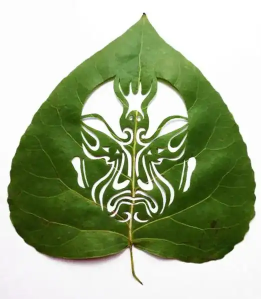 前几年做的树叶雕刻作品 - 抖音