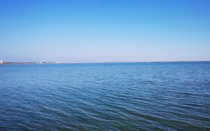 上海奉贤海湾有一片蓝色的海,海鸥飞翔,新年旅行像洱海又像三亚_哔哩