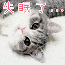 动物gif萌宠gif猫咪gif失眠gif可爱gif搞笑gif瞪眼gif