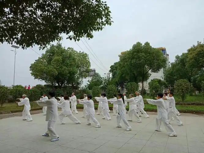 太极人生队,合练85式传统太极拳合影