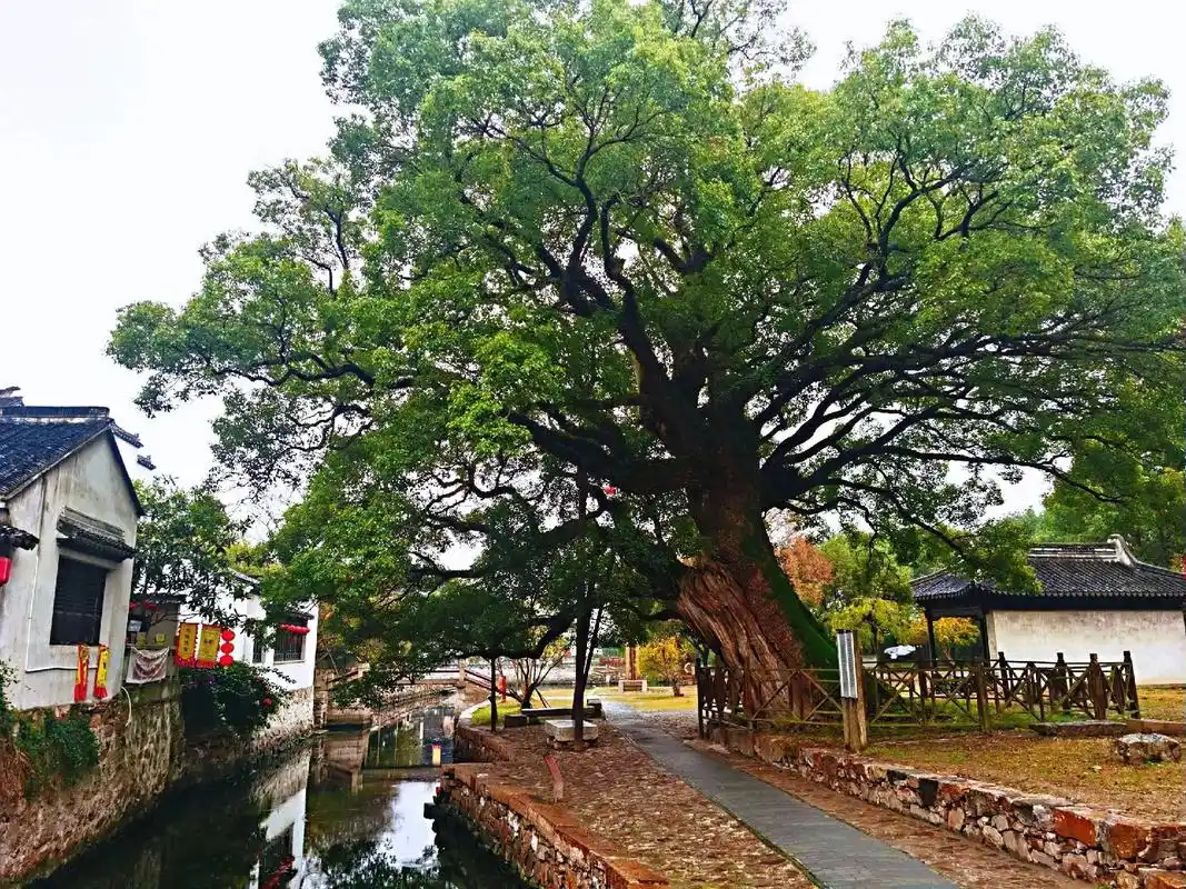 苏州西山岛明月湾古村