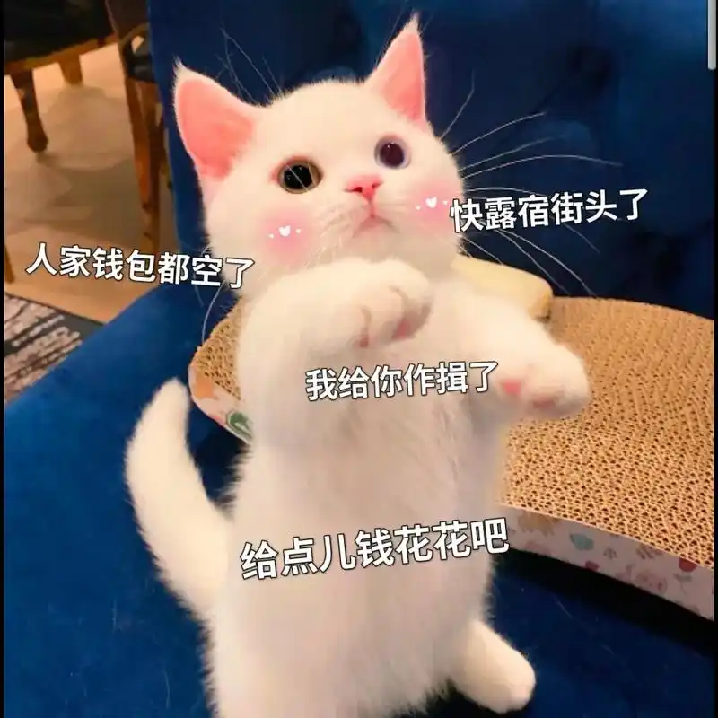 套路男朋零花钱#表情包 @do - 抖音