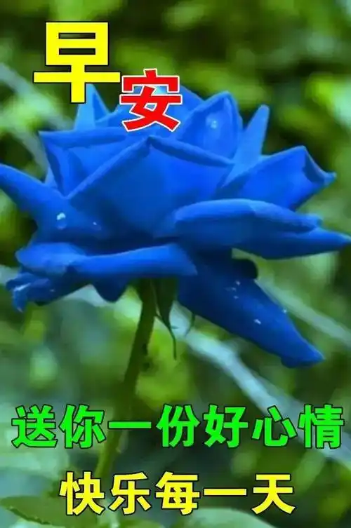 5月22日最漂亮清晨早上好动态表情祝福图片夏日早晨好动图美图大全