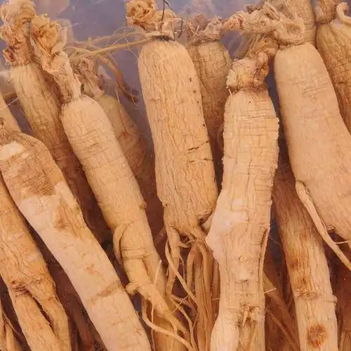 p>生晒参为一种商品人参,为人参根挖出后洗净晒干的产品.