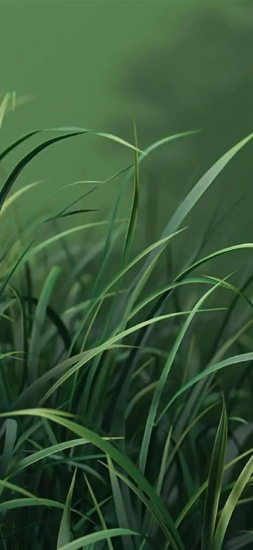 绿色植物 绿叶 绿草#最美壁纸