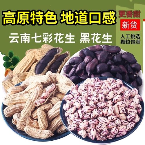 云南七彩花生黑花生带壳新鲜晒干七彩野地花生种子零食水果特产