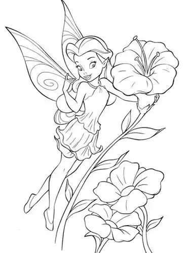 蝴蝶仙子的简笔画大全