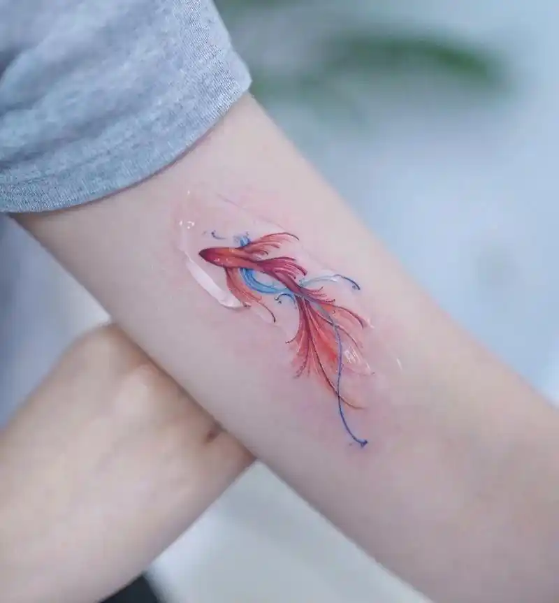 金鱼纹身图案 #防水纹身贴 #女生小清新 - 抖音