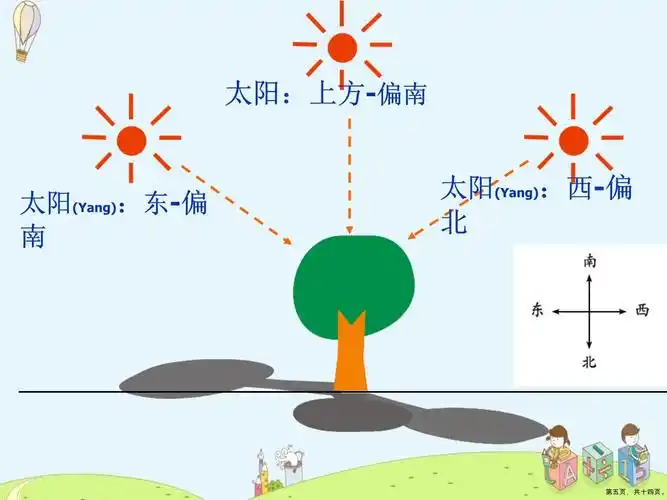教科版科学五年级上册阳光下的影子ppt课件2_第5页
