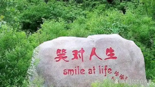 人生中也有收获和快乐;人生中总有不幸和挫折;人生中也有奇迹和机遇