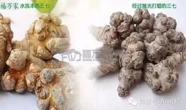 作为云南文山本地人 我们是怎么样推广三七的?