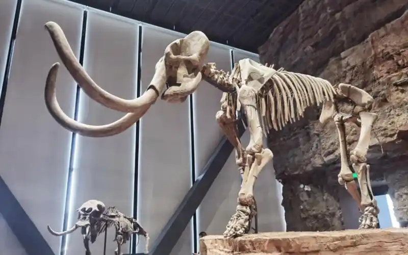 中国古动物馆(保定自然博物馆)