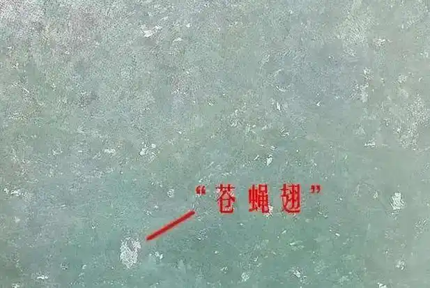 有苍蝇翅的翡翠好吗_广州市碧瑰缘珠宝有限公司