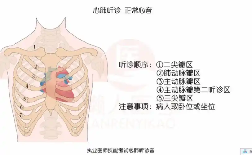 执业医师技能考试心肺听诊音全集领取