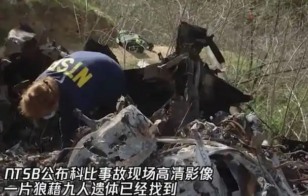 科比遗骨照片原图,乔丹哭泣表情包,本文共(2461字)