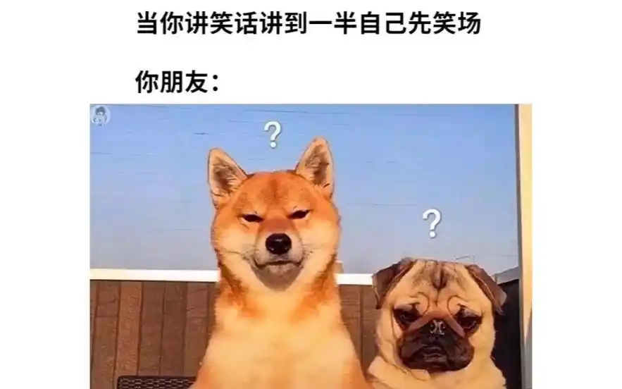 meme梗图迷因搞笑大合集20231117