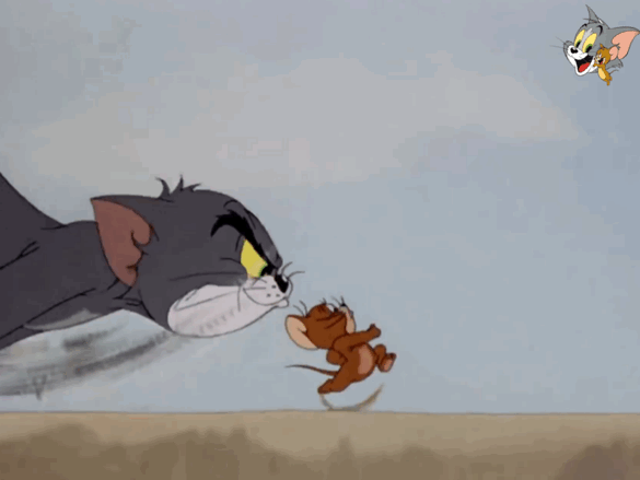 爷青回,《猫和老鼠》电影版上映了!汤姆和杰瑞又回来了!