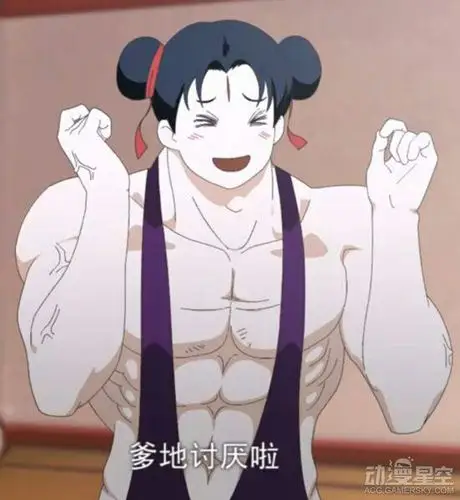 [闲聊]都说弱小可怜又无助但是皮厚的女坦不好出 其实我觉得有个历史