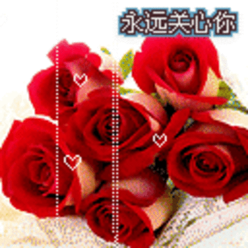 【高清图】玫瑰qq表情图片 玫瑰花qq表情包大全 图26 -zol中关村在线