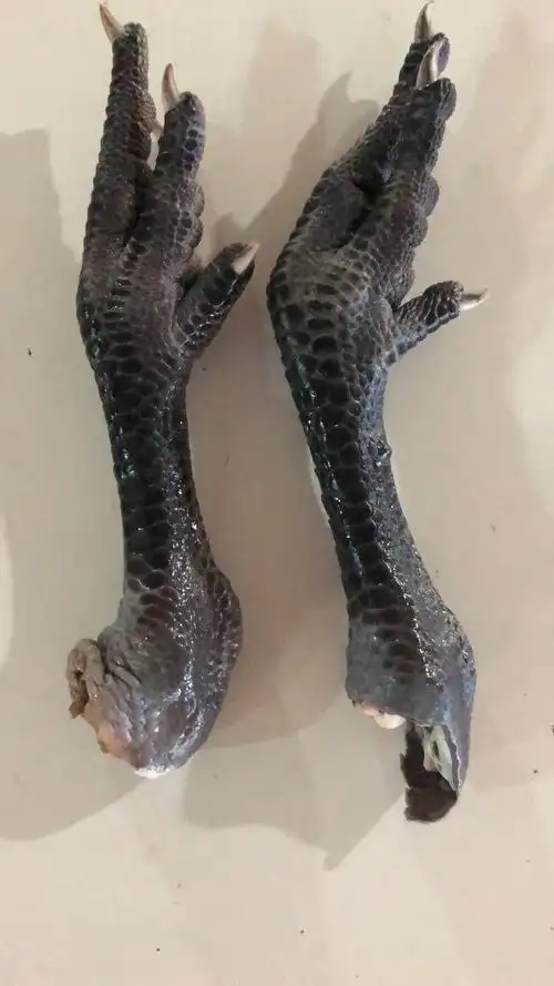 冷冻去骨乌鸡爪