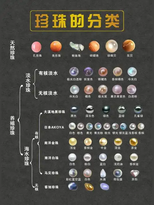 看完这篇就能懂珍珠分类60必看合集76