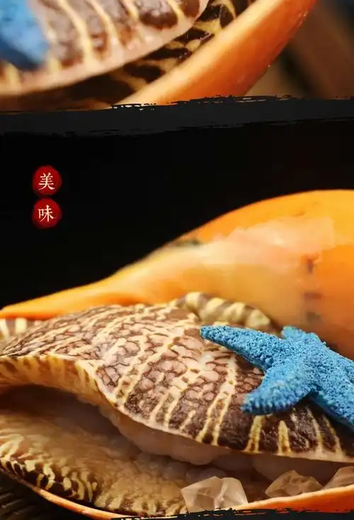 叁时鲜大黄螺黄螺肉片东山岛螺肉椰子螺黄金螺油螺木瓜螺海鲜水产贝类