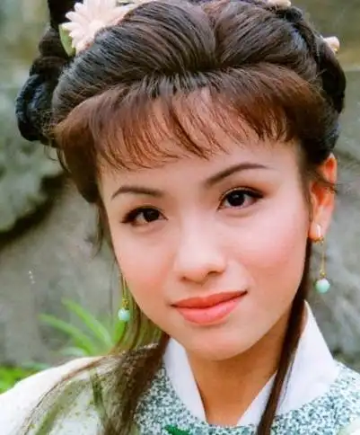 陈怡真演过的电视剧