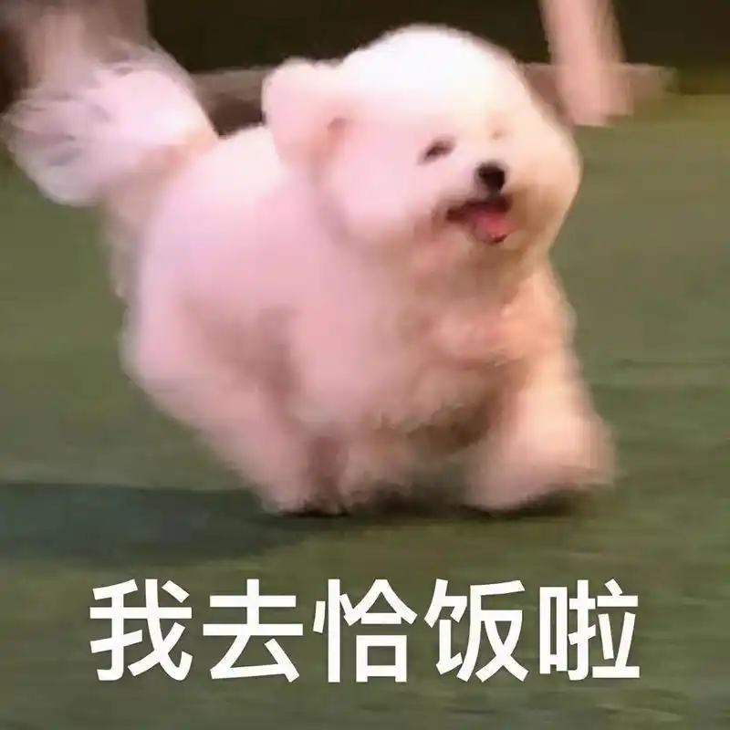 b话少说去牢里恰饭吧表情