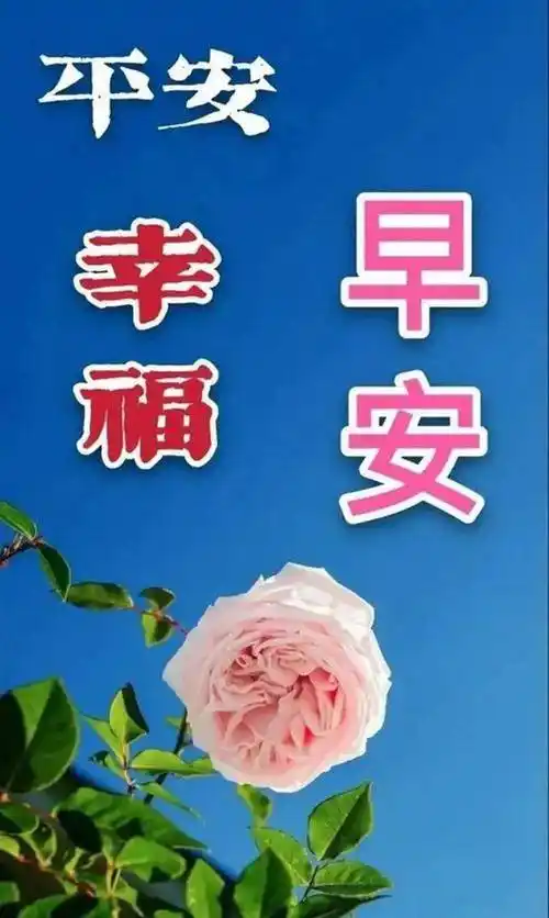 亲爱的友友们,晨安快乐!