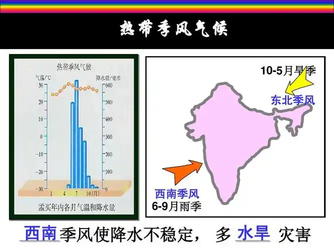 印度复习课件2013答案ppt