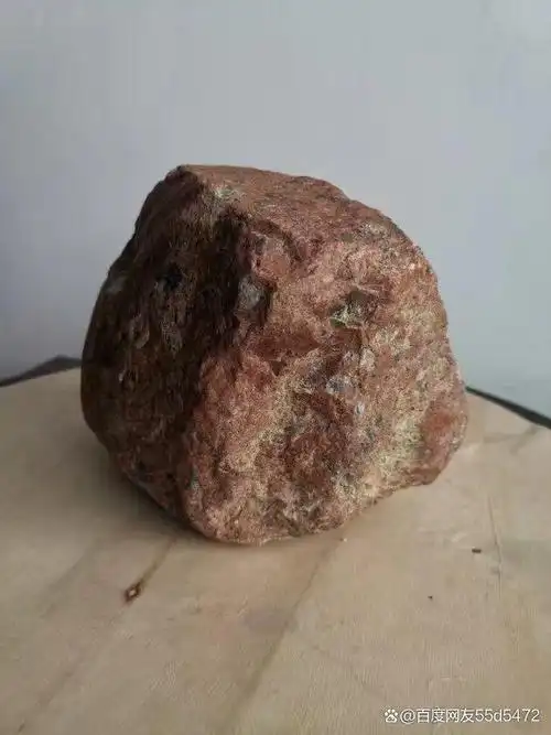 月球碳质球粒陨石