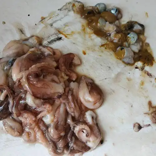 韭菜炒鱿鱼,色泽鲜艳,味道鲜美