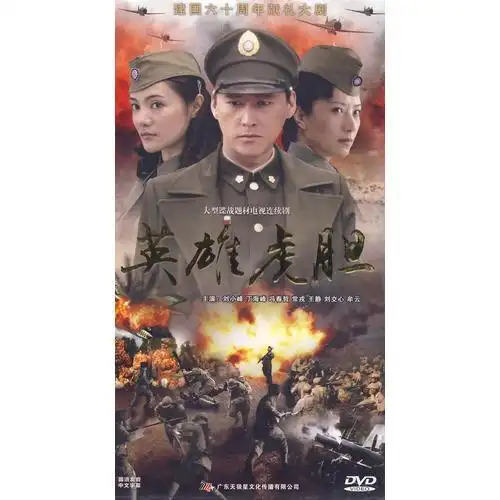 电视连续剧《英雄虎胆》dvd封面