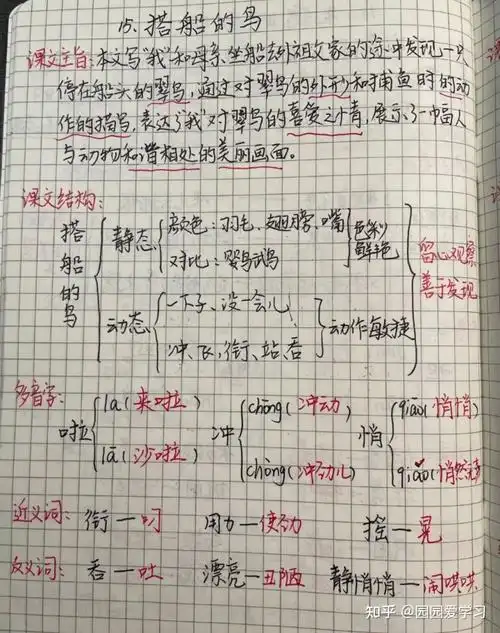 学霸笔记语文三年级第五单元课堂笔记
