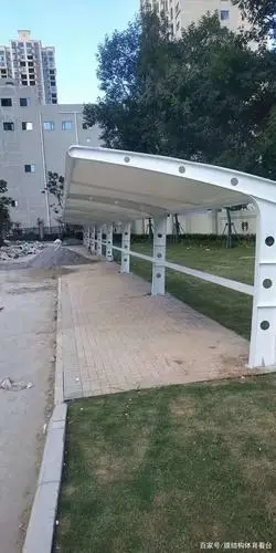小区改造做个什么结构的电动车停车棚?