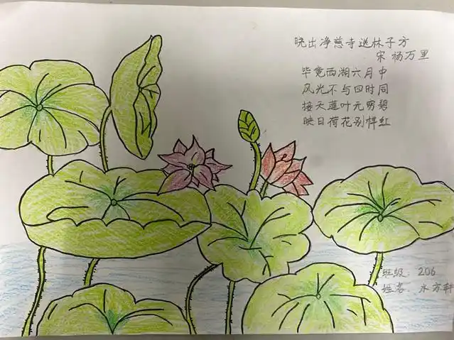 草木有情我则有知光谷九小二年级诗配画活动展