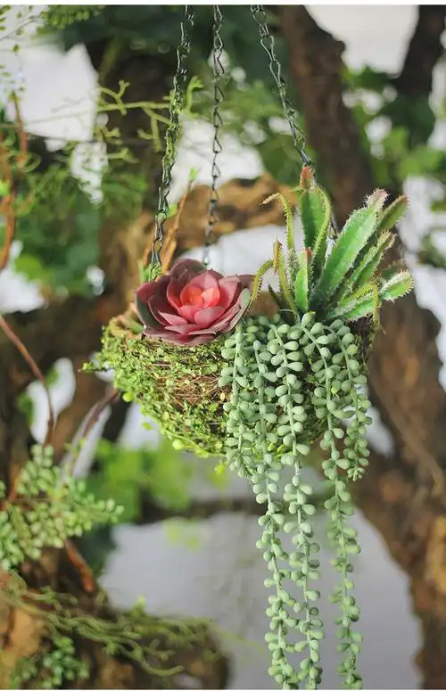 塑料花花篮周边室内公司礼品教室彩带竹篮子酒吧旋转风格卡通型