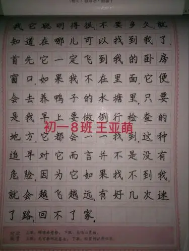 初一年级优秀练字