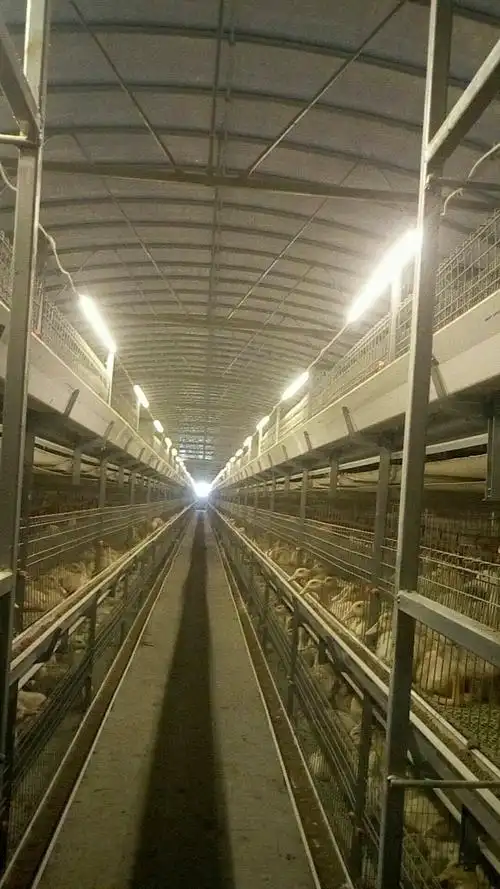 0智慧工厂----助力鸭养殖行业"生态环保,食品安全,转型升级"